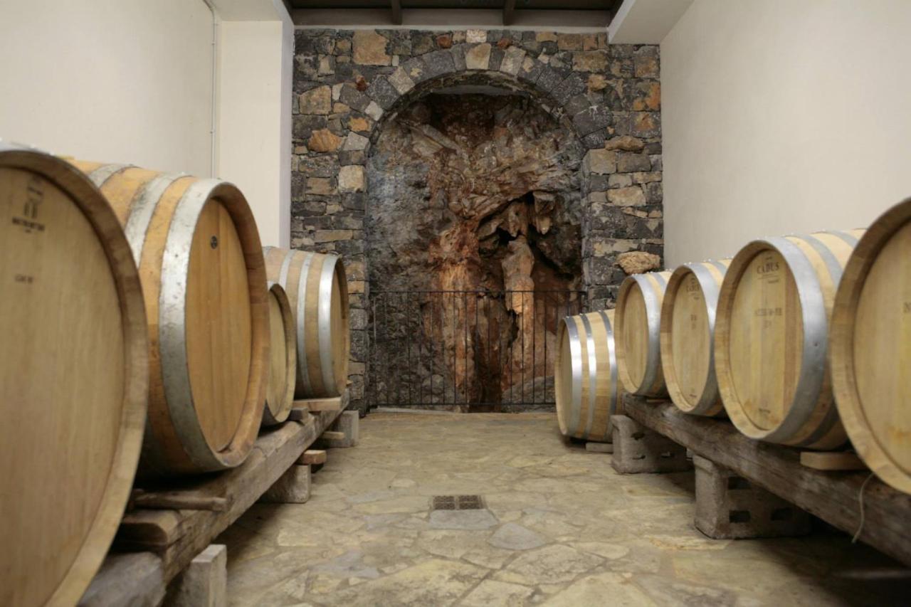 Cardo Boutique&Wine Resort Malchina Extérieur photo
