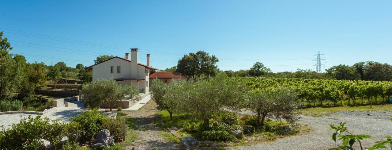 Cardo Boutique&Wine Resort Malchina Extérieur photo