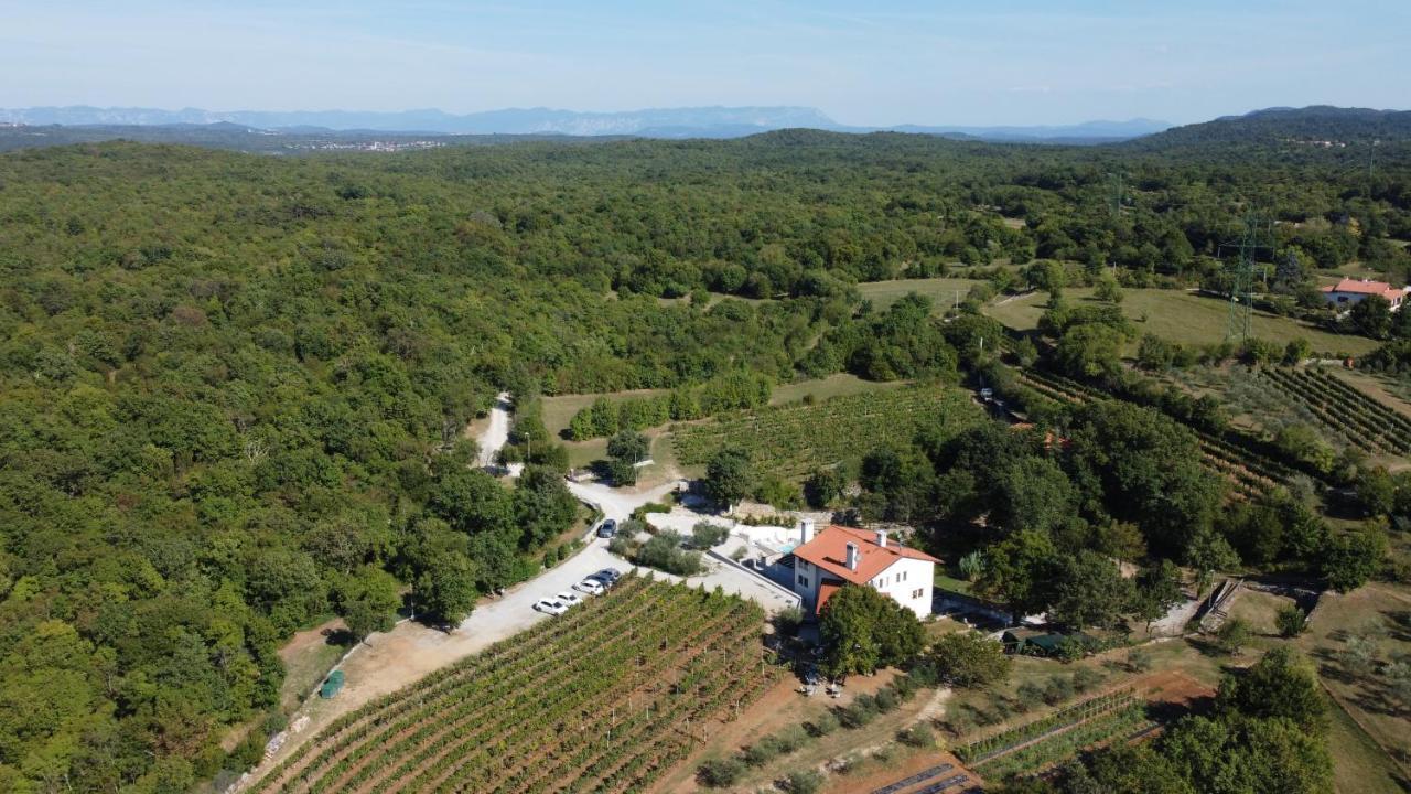 Cardo Boutique&Wine Resort Malchina Extérieur photo