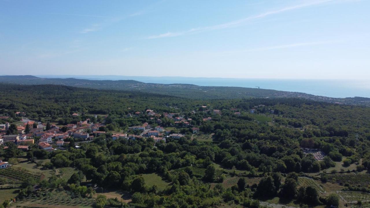 Cardo Boutique&Wine Resort Malchina Extérieur photo