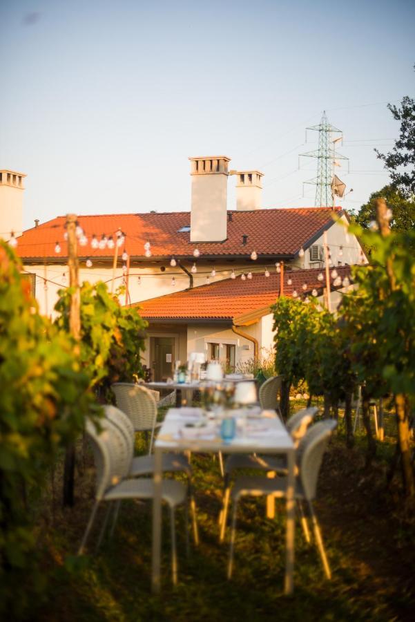 Cardo Boutique&Wine Resort Malchina Extérieur photo