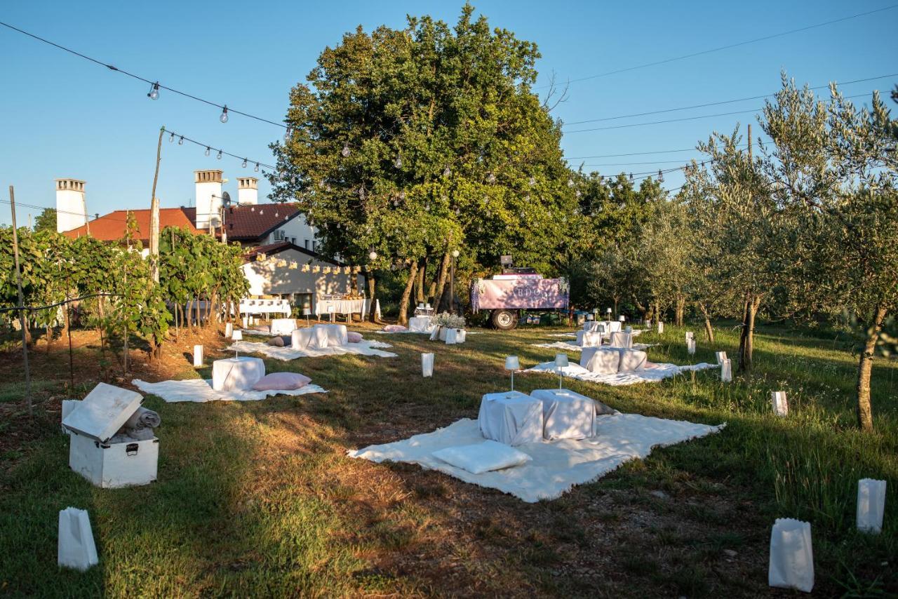 Cardo Boutique&Wine Resort Malchina Extérieur photo