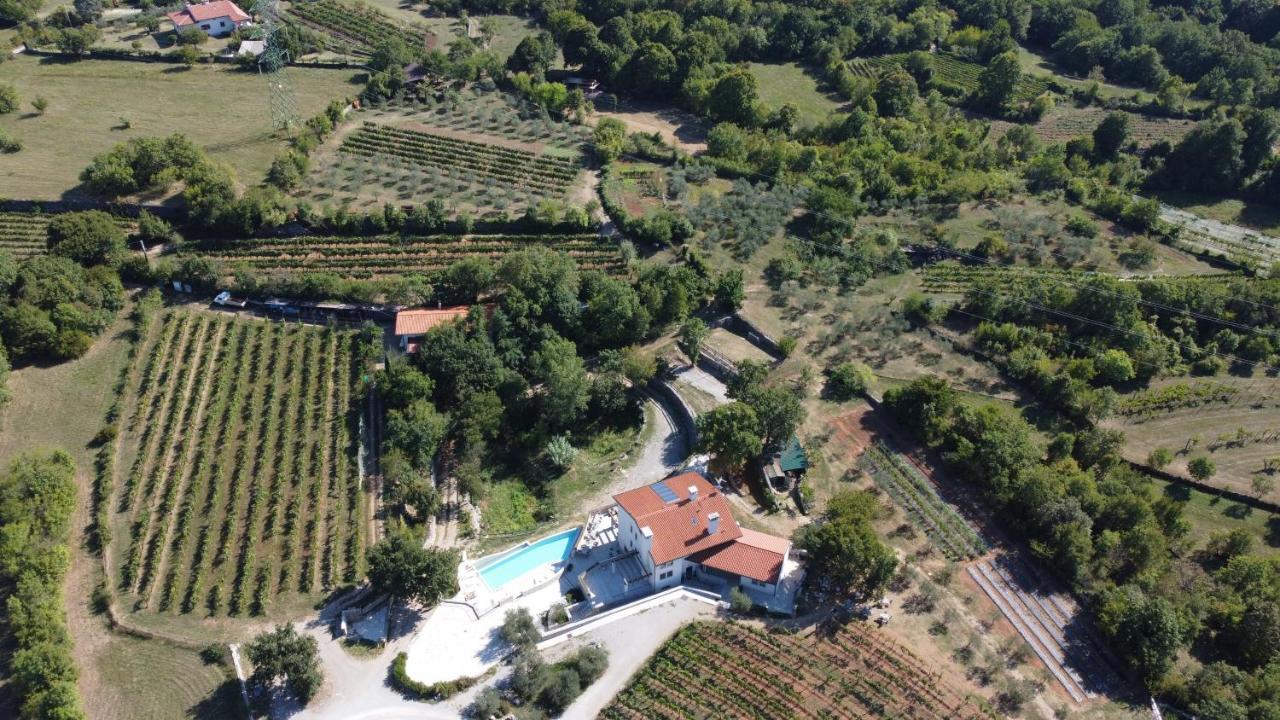 Cardo Boutique&Wine Resort Malchina Extérieur photo